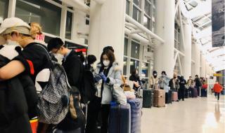 小伙拍中美防疫区别 小伙拍中美防疫区别