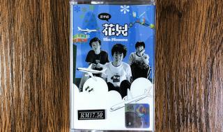 花儿乐队十周年演唱会