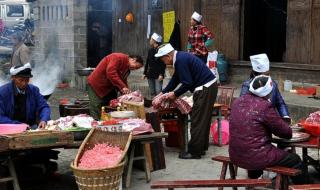 血浓于水是什么意思 血浓于水是什么意思